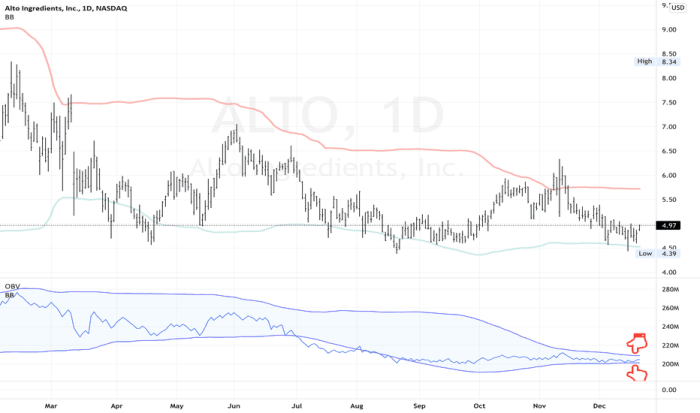 Alto ingredients stock price