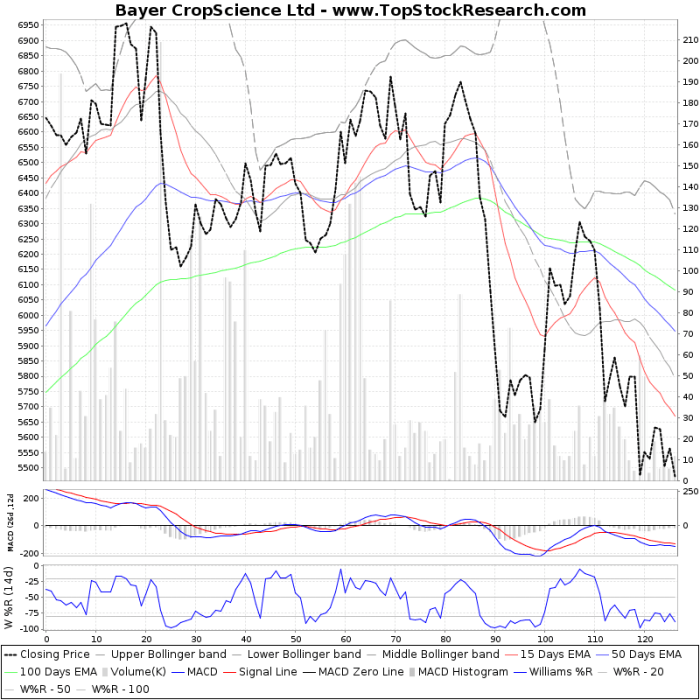 Bayer crop stock price