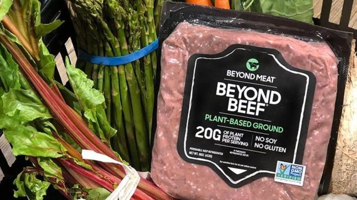 Beyond meat stocks price