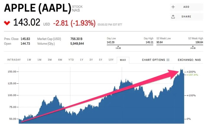 Apple stock price 2019